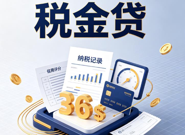 南京高淳企业税贷|南京高淳企业设备回租|南京高淳税贷过桥